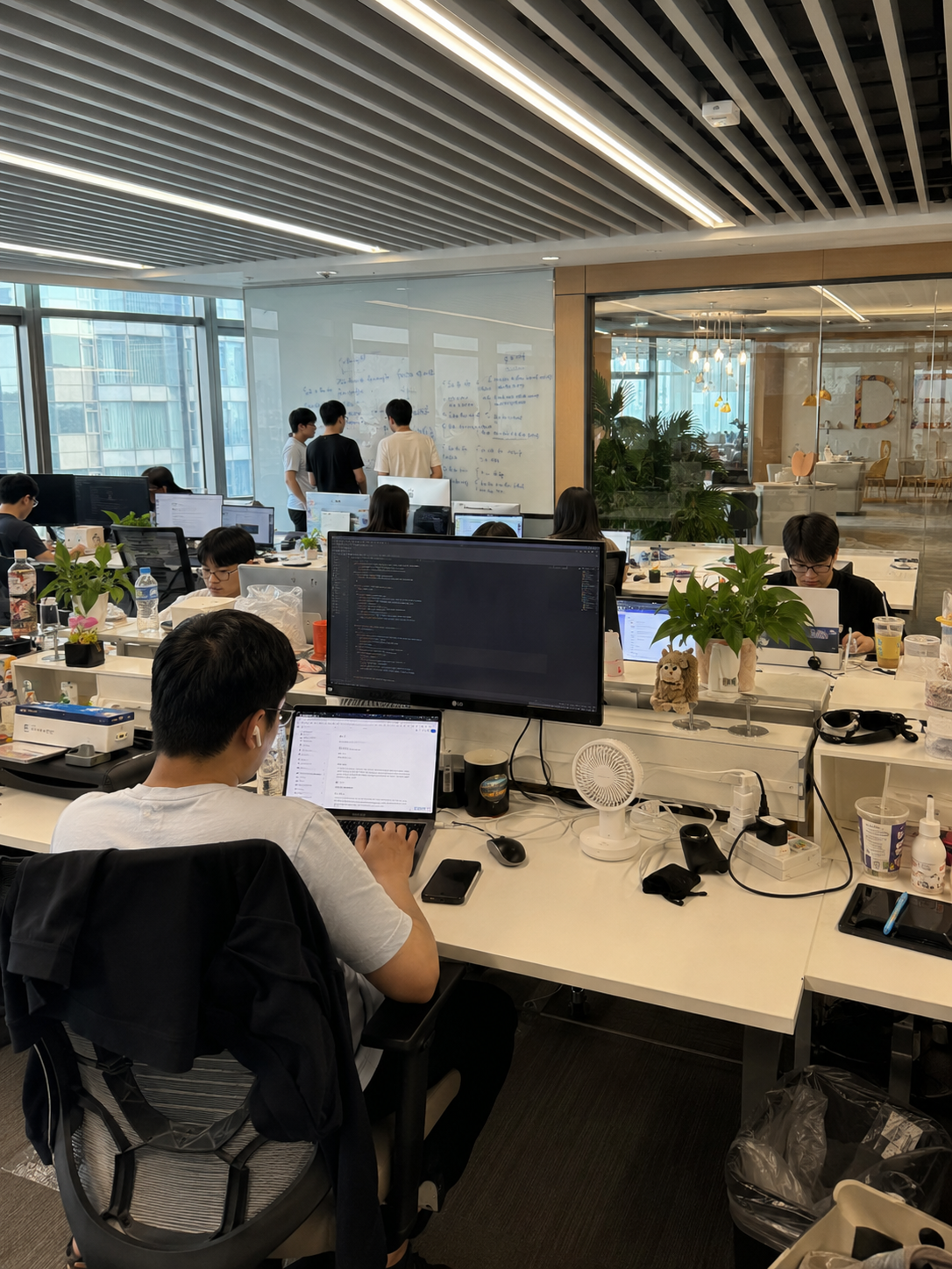 云帆计划实习直推办公现场